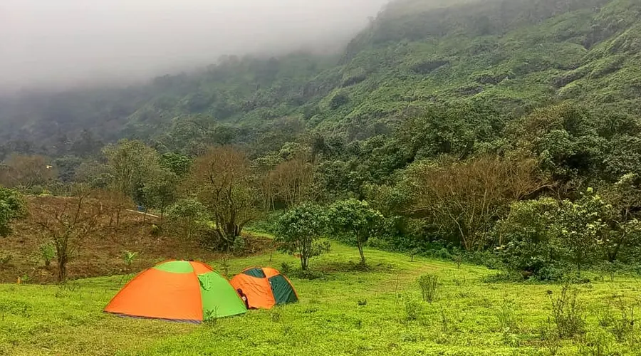 Camping In Lonavala Forest